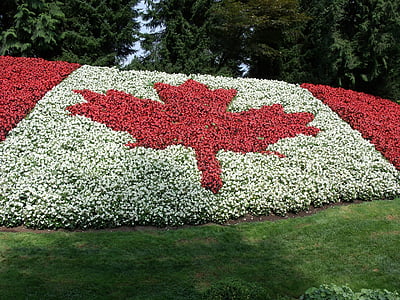 flag of Canada shaped flower garden thumbnail