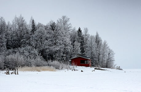 road with snow thumbnail