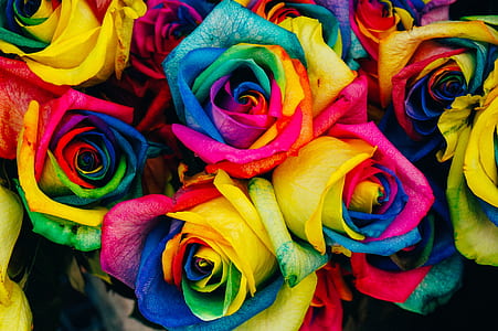 assorted-color paper flowers thumbnail