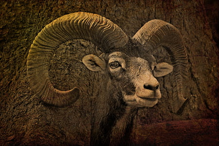 antler painting thumbnail