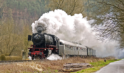 gray and black train near green tall tress thumbnail