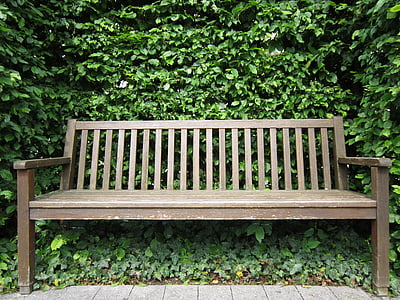 wooden bench near tree thumbnail