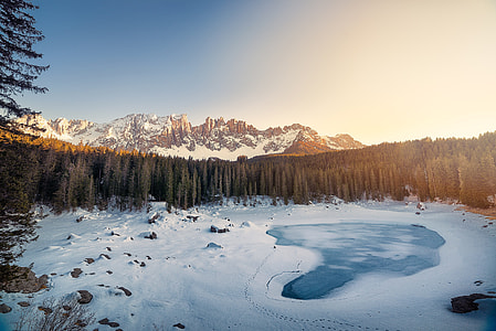 snow field with trees thumbnail