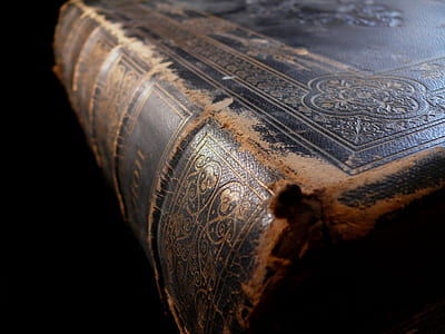 brown leather covered book in close up shot thumbnail