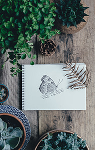 white spiral notebook surrounded by green leaf plants on brown wooden surface thumbnail