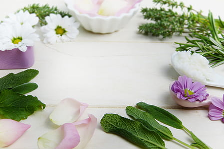 purple and white petaled flower arrange on white surface thumbnail