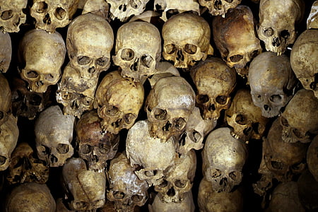 brown skull lot thumbnail