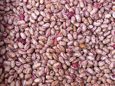 bunch of brown seeds thumbnail