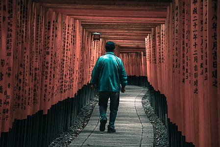 Person Walking on Arbor thumbnail