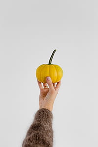 Women's hands in sweater are holding pumpkin thumbnail
