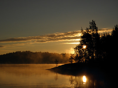 trees beside body of water during sunset thumbnail