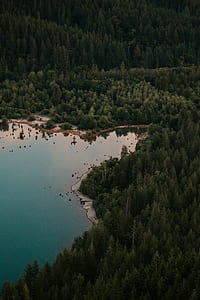 aerial photography of body of water surrounded by trees thumbnail