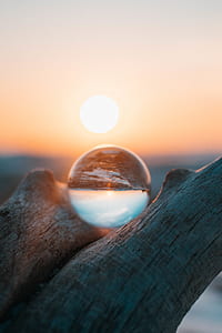 magnifying mirror ball on tree during golden hour thumbnail