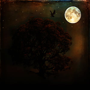 brown tree thumbnail