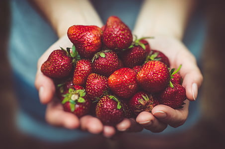 person holding strawberries selective focus photography thumbnail