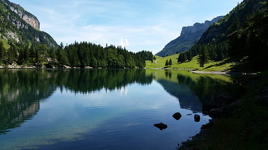 landscape photography of body water and tree thumbnail