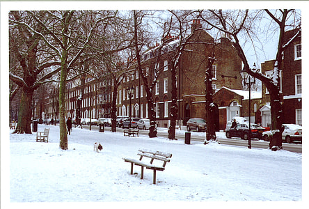brown concrete houses covered with snow during daytime thumbnail