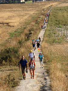 group of people walking during daytime thumbnail