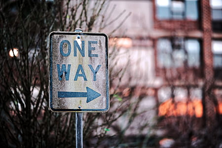 blue and white one way street signage thumbnail