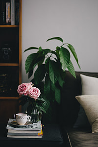 Lovely roseses, book and coffee thumbnail