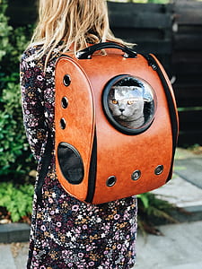 cat, backpack, person, woman thumbnail