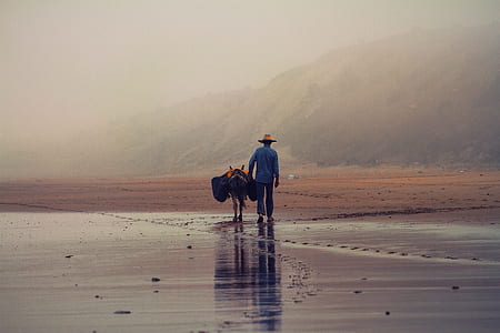 man walking with donkey near mountain during daytime thumbnail