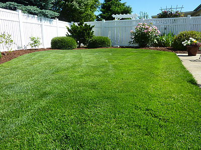 green grass field during daytime thumbnail