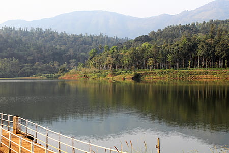 body of water near green trees thumbnail