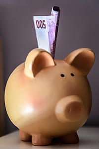 500 banknote stuck on piggy bank thumbnail