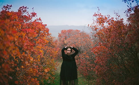 woman standing between field of red orange leafed plants thumbnail