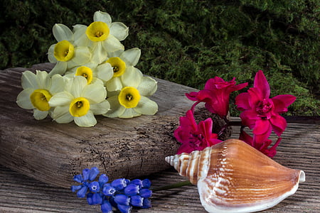 seashell and flowers thumbnail