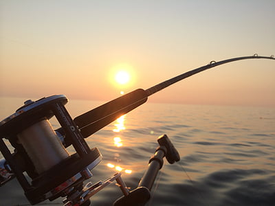 close-up photo of fishing reel thumbnail