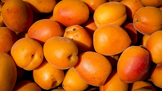 round orange fruit lot thumbnail