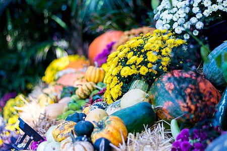 food, vegetables, flowers, fruits thumbnail