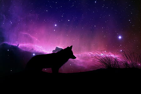 silhouette of wolf thumbnail
