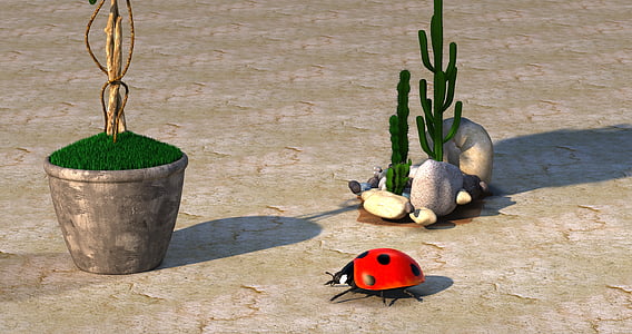 ladybug near cactus plant thumbnail