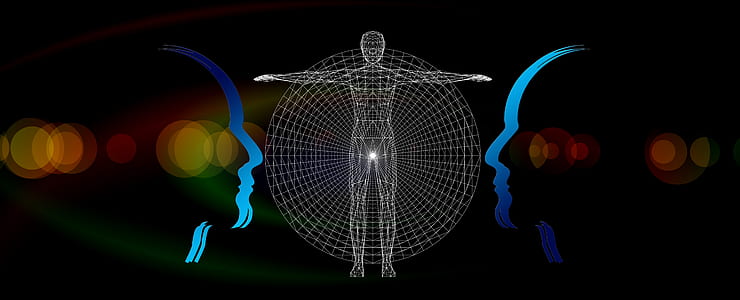 human anatomy wallpaper thumbnail
