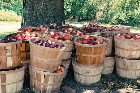 bunch of apples on brown wooden containers thumbnail