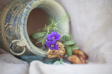 purple commelinaceae flower in vase thumbnail