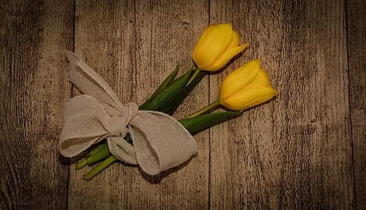 two yellow tulips on brown surface thumbnail