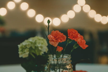 selective focus photo of red petaled flowers in clear glass vase thumbnail