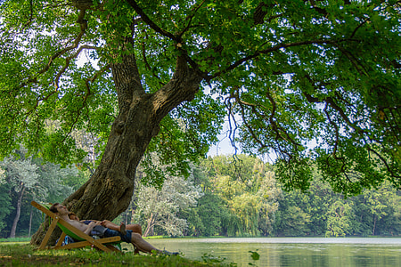 man lying on wooden folding lounge near the body of water under the tree during daytime thumbnail