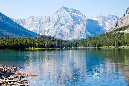 body of water near trees thumbnail