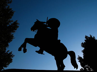 silhouette photo of man riding horse near tree thumbnail