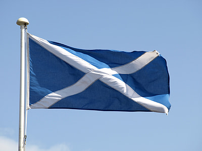 blue and white flag thumbnail