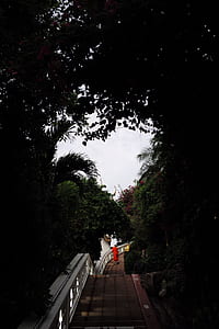 person walking up the hill thumbnail