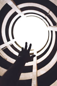 silhouette photo of left human hand raise up thumbnail