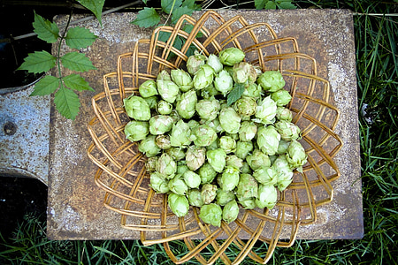bunch of green artichoke on tray thumbnail