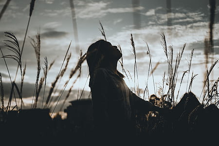 silhouette of woman sitting on grass thumbnail