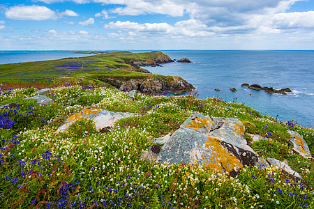 garden field beside blue ocean water under blue and white cloudy sky thumbnail